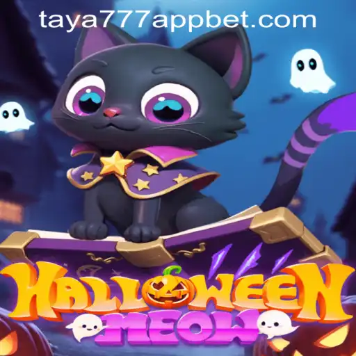 HalloweenMeow: Unveiling the Spooky World of Taya777 App's Latest Game