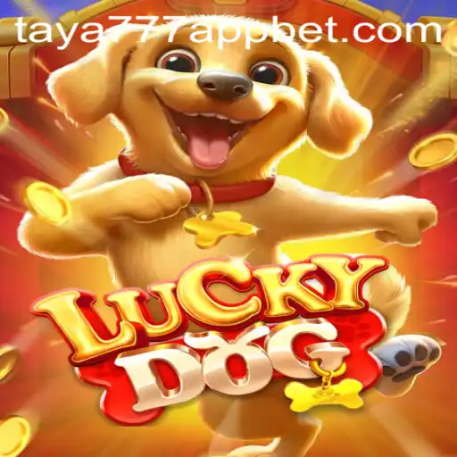 Exploring the Exciting World of LuckyDog on Taya777 App